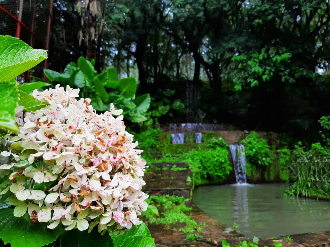 Serenity Garden & Koi Pond