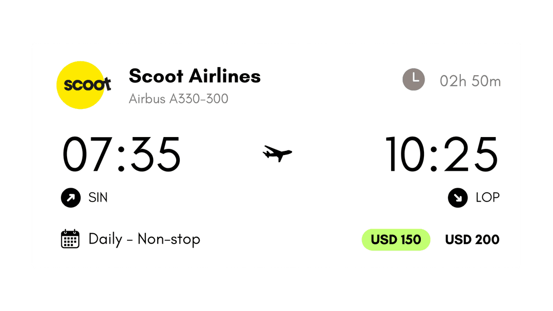 Scoot Airlines flights information